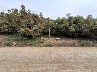 Foto 1 de En Venta Amplio Terreno de 1.73 Ha en  Viru- La Libertad