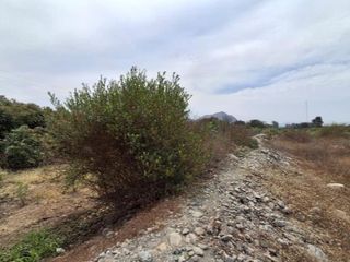 Foto 6 de En Venta Amplio Terreno de 1.73 Ha en  Viru- La Libertad