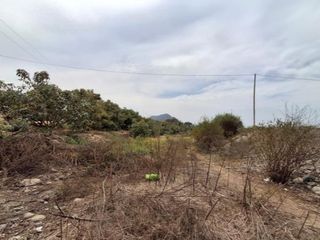 Foto 4 de En Venta Amplio Terreno de 1.73 Ha en  Viru- La Libertad