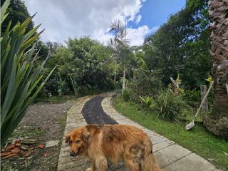 Foto 3 de CASA FINCA EN ARRIENDO RIONEGRO ANTIOQUIA; SECTOR OJO DE AGUA