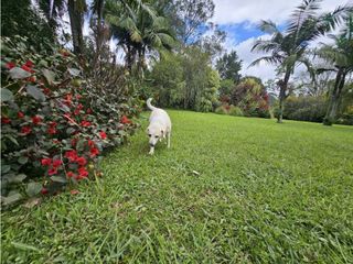 Foto 10 de CASA FINCA EN ARRIENDO RIONEGRO ANTIOQUIA; SECTOR OJO DE AGUA