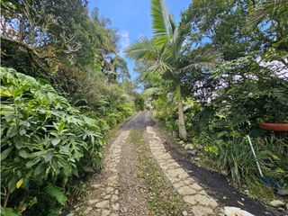 Foto 2 de CASA FINCA EN ARRIENDO RIONEGRO ANTIOQUIA; SECTOR OJO DE AGUA