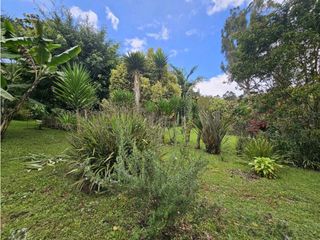 Foto 11 de CASA FINCA EN ARRIENDO RIONEGRO ANTIOQUIA; SECTOR OJO DE AGUA