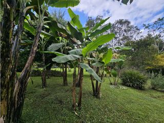 Foto 15 de CASA FINCA EN ARRIENDO RIONEGRO ANTIOQUIA; SECTOR OJO DE AGUA