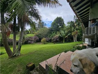 Foto 18 de CASA FINCA EN ARRIENDO RIONEGRO ANTIOQUIA; SECTOR OJO DE AGUA