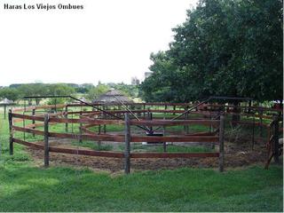 Foto 6 de CASA  EN CONDOMINIO DE CAMPO