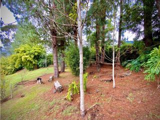 Foto 69 de Venta Casa Permite Cultivos y Pesebreras Parcelacion La Ceja