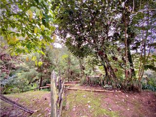 Foto 24 de Venta Casa Permite Cultivos y Pesebreras Parcelacion La Ceja
