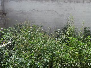 Foto 12 de VIVIENDA EN VENTA SECTOR MACASTRO, PARROQUIA ATAHUALPA, TUNGURAHUA