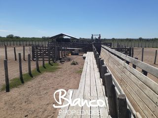 Foto 2 de Terreno en Alquiler en Nahuel Mapa, Gobernador Dupuy, San Luis, Argentina