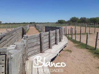 Foto 4 de Terreno en Alquiler en Nahuel Mapa, Gobernador Dupuy, San Luis, Argentina