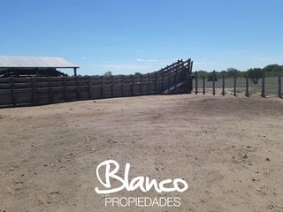 Foto 1 de Terreno en Alquiler en Nahuel Mapa, Gobernador Dupuy, San Luis, Argentina