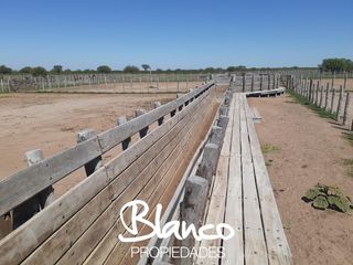 Foto 3 de Terreno en Alquiler en Nahuel Mapa, Gobernador Dupuy, San Luis, Argentina