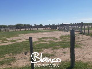 Foto 5 de Terreno en Alquiler en Nahuel Mapa, Gobernador Dupuy, San Luis, Argentina