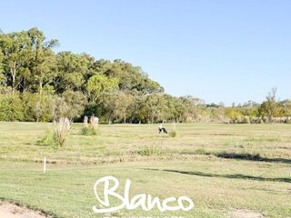 Foto 5 de Terreno en Venta en San Sebastian, Escobar, G.B.A. Zona Norte, Argentina