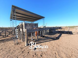 Foto 1 de Terreno en Alquiler en La Reforma, Limay Mahuida, La Pampa, Argentina
