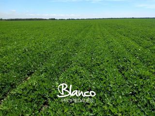 Foto 3 de Terreno en Alquiler en Córdoba, Córdoba, Argentina