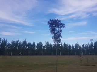 Foto 38 de Casa en Venta en Virazón, Nordelta, Tigre, G.B.A. Zona Norte, Argentina