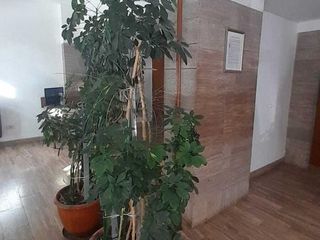 Foto 3 de Departamento en Venta en Neuquen Capital, Neuquén, Patagonia, Argentina
