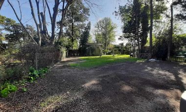 place photo 26
