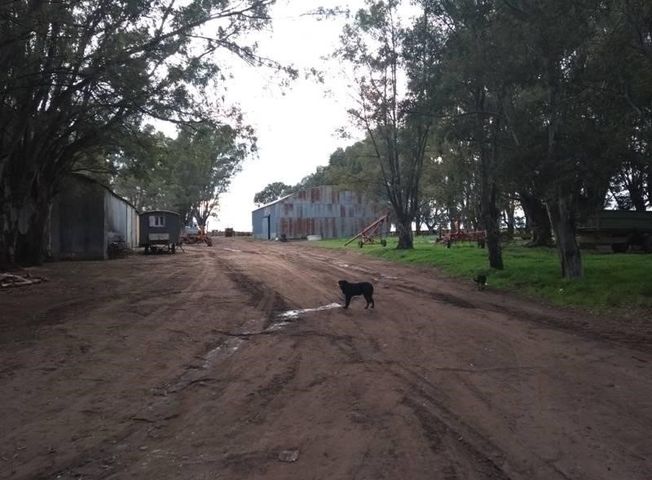 place photo 11