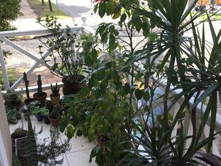 Foto 11 de Departamento - Banfield Oeste