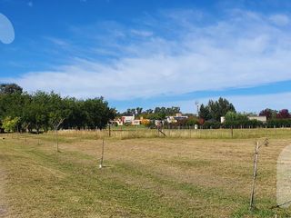Foto 4 de VENTA TERRENO/LOTE EL MIRADOR