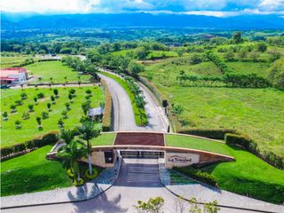 Foto 1 de VENTA LOTES DE 1 HECTAREA EN CERRITOS PEREIRA