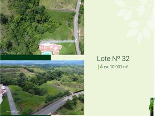 Foto 4 de VENTA LOTES DE 1 HECTAREA EN CERRITOS PEREIRA