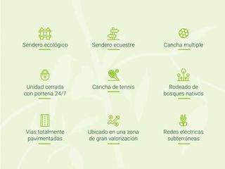 Foto 3 de VENTA LOTES DE 1 HECTAREA EN CERRITOS PEREIRA