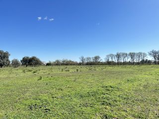 Foto 7 de Venta terreno en Lobos, lotes de quintas de casi 1ha