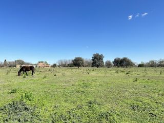 Foto 19 de Venta terreno en Lobos, lotes de quintas de casi 1ha