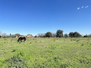 Foto 17 de Venta terreno en Lobos, lotes de casi 1ha