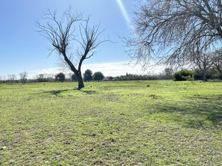 Foto 14 de Venta terreno en Lobos, lotes de casi 1ha