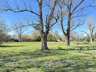 Foto 3 de Venta terreno en Lobos, lotes de casi 1ha