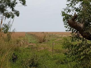 Foto 4 de Se vende Campo sobre los esteros del Iberá. Paraje Galarza
