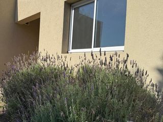 Foto 4 de Venta - Casa 4/Cuatro Ambientes, Dependencia, Jardín - San Gabriel, Villanueva