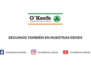 Foto 13 de Departamento monoambiente, en alquiler , Quilmes centro, Apto vivienda y/o profesional