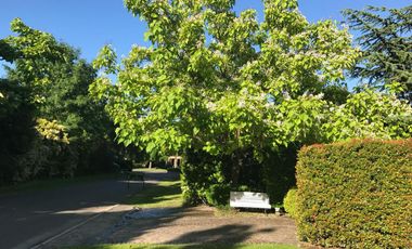 place photo 32