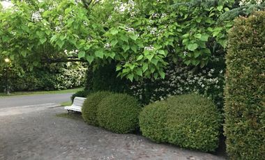 place photo 31