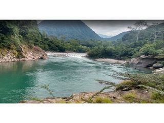 Foto 12 de FUNDO PLANO Y FÉRTIL DE 272 HA. EN ISCOZACN - PALCAZÚ / OXAPAMPA