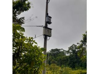 Foto 23 de FUNDO PLANO Y FÉRTIL DE 272 HA. EN ISCOZACN - PALCAZÚ / OXAPAMPA