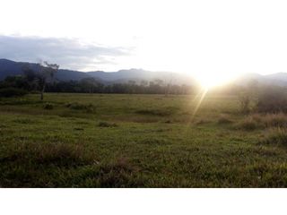 Foto 4 de FUNDO PLANO Y FÉRTIL DE 272 HA. EN ISCOZACN - PALCAZÚ / OXAPAMPA