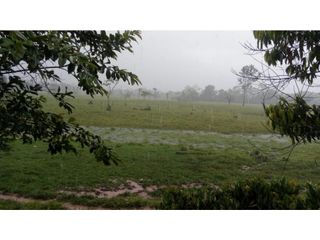 Foto 18 de FUNDO PLANO Y FÉRTIL DE 272 HA. EN ISCOZACN - PALCAZÚ / OXAPAMPA