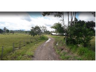 Foto 15 de FUNDO PLANO Y FÉRTIL DE 272 HA. EN ISCOZACN - PALCAZÚ / OXAPAMPA