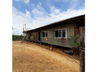 Foto 20 de FUNDO PLANO Y FÉRTIL DE 272 HA. EN ISCOZACN - PALCAZÚ / OXAPAMPA