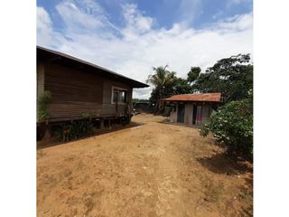 Foto 21 de FUNDO PLANO Y FÉRTIL DE 272 HA. EN ISCOZACN - PALCAZÚ / OXAPAMPA