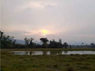 Foto 2 de FUNDO PLANO Y FÉRTIL DE 272 HA. EN ISCOZACN - PALCAZÚ / OXAPAMPA