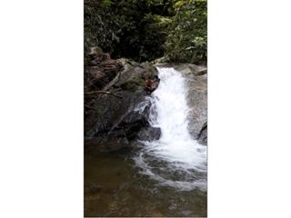 Foto 8 de FUNDO PLANO Y FÉRTIL DE 272 HA. EN ISCOZACN - PALCAZÚ / OXAPAMPA