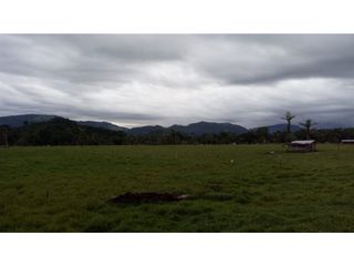 Foto 1 de FUNDO PLANO Y FÉRTIL DE 272 HA. EN ISCOZACN - PALCAZÚ / OXAPAMPA